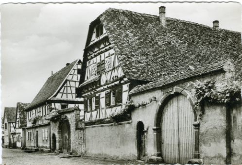 La plus vieille maison, maintenant muse du patrimoine (Heimatmuseum). CPSM bord dentel (collection particulire)