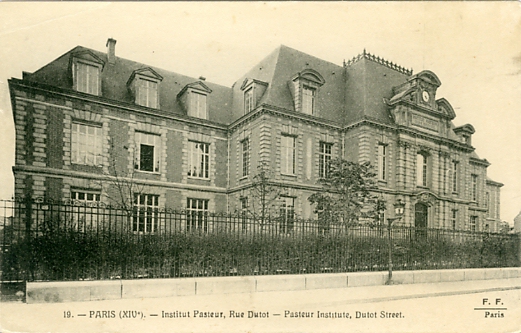 Faade de l’Institut Pasteur, rue Dutot.