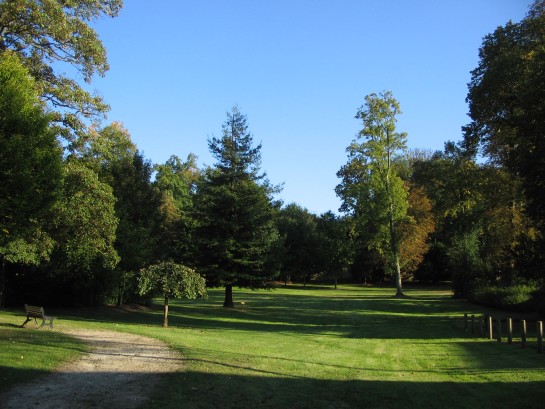 Parc de Bon Repos. Soleil d’automne. Clich Lamoureux. 2011.