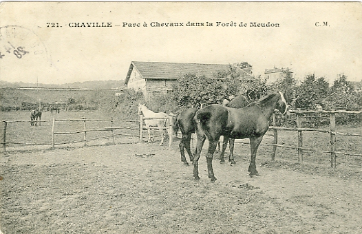 Chevaux  la pture prs de Gaillon. (coll. part.)