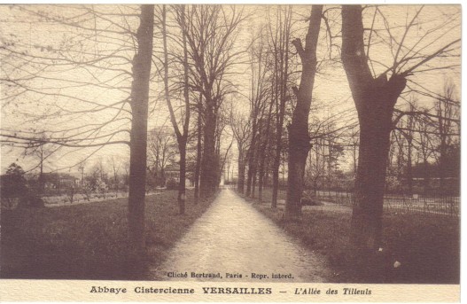 Une alle boise qui donne une ide de la dimension du domaine de l’abbaye.