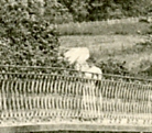 Femme  l’ombrelle sur le pont de bois.