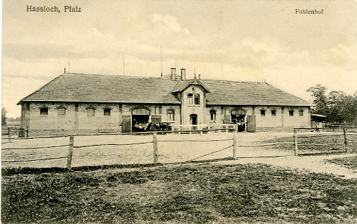 Souvenir de Hassloch. Un haras ( ?). Carte circule le 8 mai 1919, crite par un chasseur alpin franais (5e rgiment). Indication du secteur postal 192. Editeur Paul Curth, Hassloch.