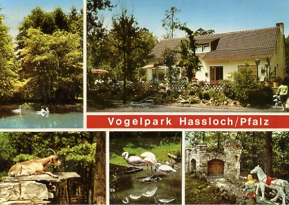 Multi-vues de Vogelpark. CPM n° 817G164FCC, éditeur Buchhandlung Curth, 6722 Hassloch/Pfalz. (Carte non circulée années 90. (coll. part.)