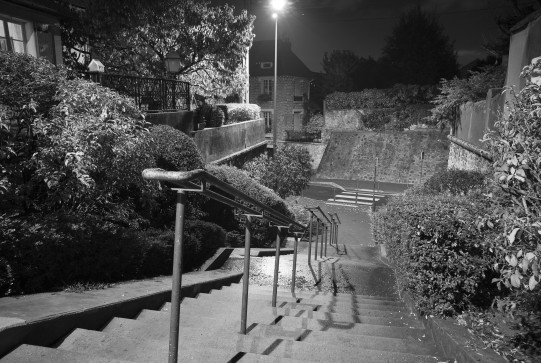 L’escalier au bout de la rue du Dr Roux. Clich 2011