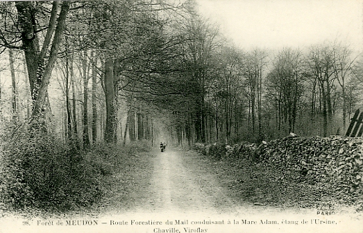 Route forestière du Mail, conduisant à la Mare Adam, étang d’Ursine, Chaville, Viroflay. CPA F.F Paris éditeur, collection Forêt de Meudon n° 98. (coll. part.)