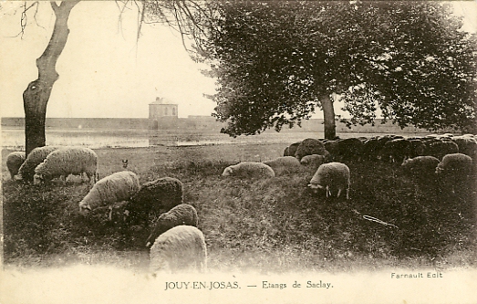 Une autre vue du pavillon depuis la berge d’un tang.