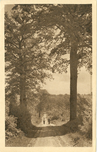 Pour arriver  la fontaine des Nouettes, on peut longer Porchefontaine depuis le pont Colbert. Cette route forestire longe maintenant le centre questre par l’arrire. (coll. part.)