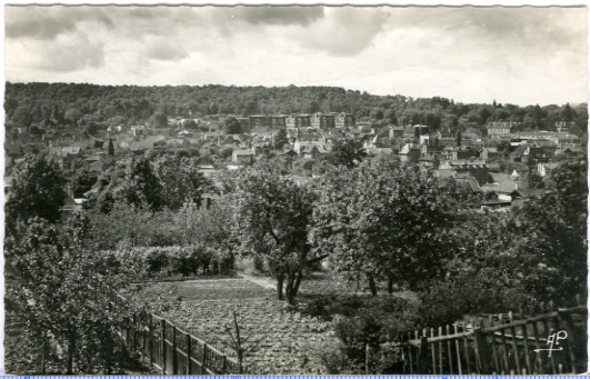 Panorama de la rive Gauche pris depuis la Rive Droite, probablement prs du Pont de bois. On note le plateau o de nombreuses maisons se sont construites, domines par les immeubles en brique de la gare RG. CPSM dentele annes 50.