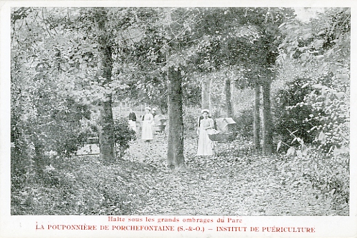 Promenade en sous-bois.