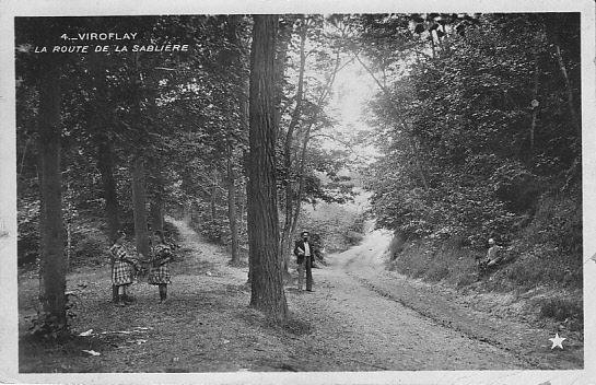 Dans les bois, entre la Sablire et les Nouettes. CPA  l’toile, collection Viroflay n° 4