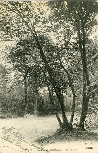 A droite on distingue un mur de pierres surmont d’une margelle ; ce plan pourrait avoir t pris derrire le Chnen de la Vierge. Carte F.F., (coll. part.)