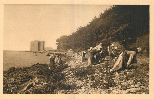 Les moines au travail pour nettoyer le bord de mer. Au fond la tour des Moines.