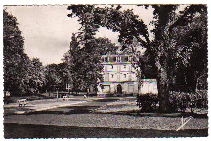 Une autre vue de la proprit Vigne avec ses contre-alles remblayes de machefer et ses grands arbres, dont le pin noir de gauche qui faisait le pendant de celui de la place devant la gare rive-gauche (coll. part.)